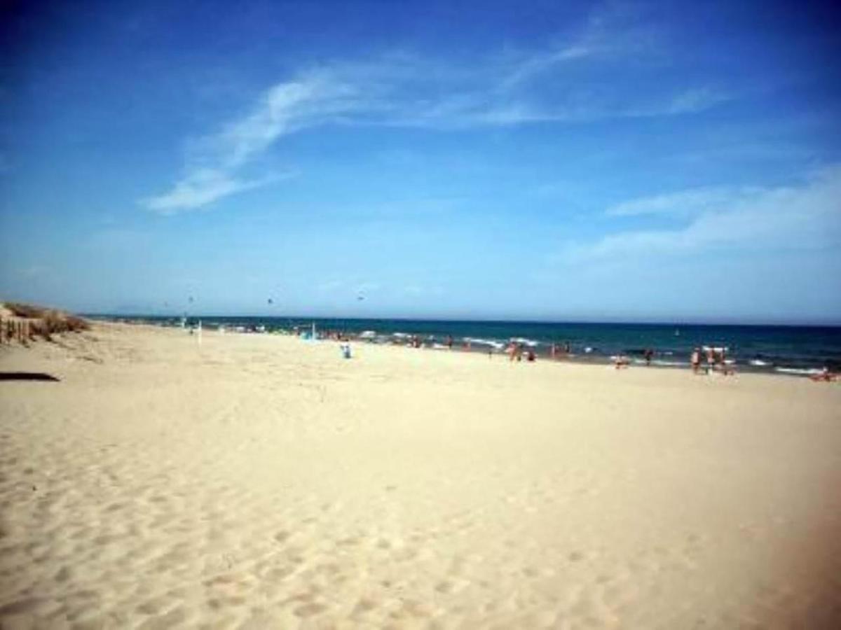 Splendido Appartamento Fronte Mare Vista Spiaggia - Prima Linea Mare Τορεβιέχα Εξωτερικό φωτογραφία
